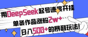 用DeepSeek起号速度开挂，单条作品涨粉2w+，日入5张+的暴利玩法-网创源码