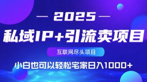 私域IP+引流卖项目,小白也可以做到轻松宅家日入1000+-网创源码
