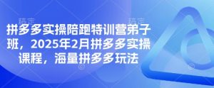 拼多多实操陪跑特训营弟子班,2025年2月拼多多实操课程,海量拼多多玩法-网创源码