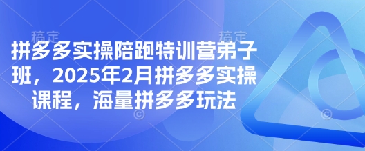拼多多实操陪跑特训营弟子班,2025年2月拼多多实操课程,海量拼多多玩法-网创源码