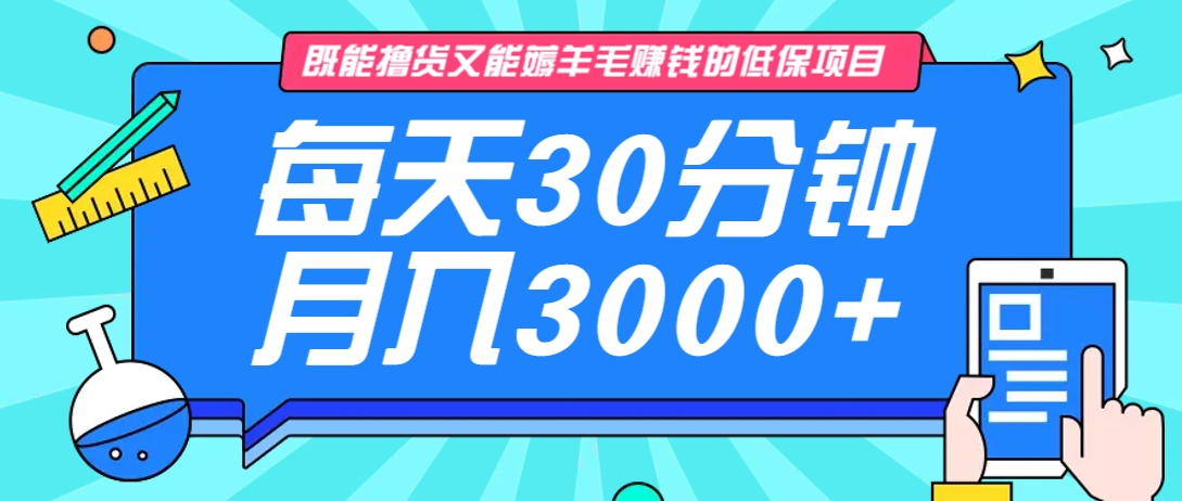 既能撸货又能赚钱的长期低保项目,每天30分钟,多号百分百稳定月入3000+!-网创源码