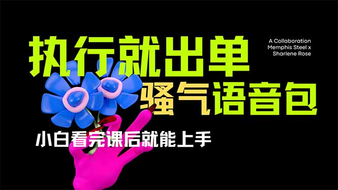 爆火全网的开车导航骚气语音包,只要执行就出单,小白看完课程就能实操…-网创源码