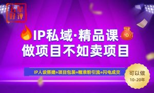 2025年“IP私域·密训精品课”,日赚3000+小白避坑年赚百万,暴力引流...-网创源码