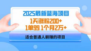 2025蓝海项目 1天涨粉200+ 1单99 1个月2万+-网创源码