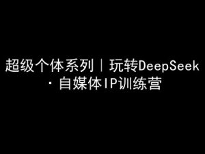 超级个体系列，玩转DeepSeek·自媒体IP训练营，deepseek教程-网创源码