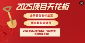 2025项目天花板普通人如何通过知识付费，实现财F自由【揭秘】-网创源码