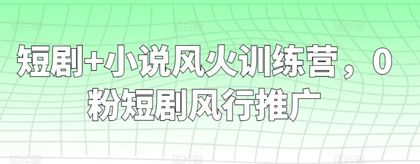 短剧+小说风火训练营，0粉短剧风行推广-网创源码