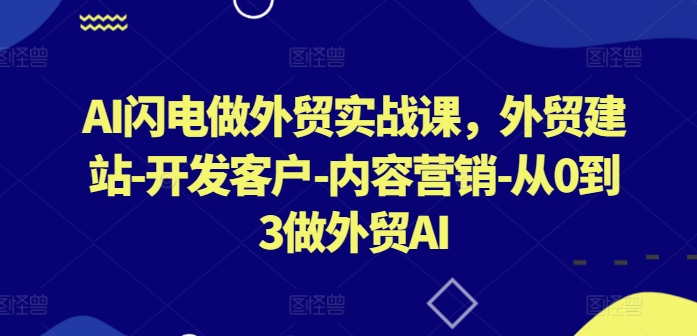 AI闪电做外贸实战课,外贸建站-开发客户-内容营销-从0到3做外贸AI(更新)-网创源码