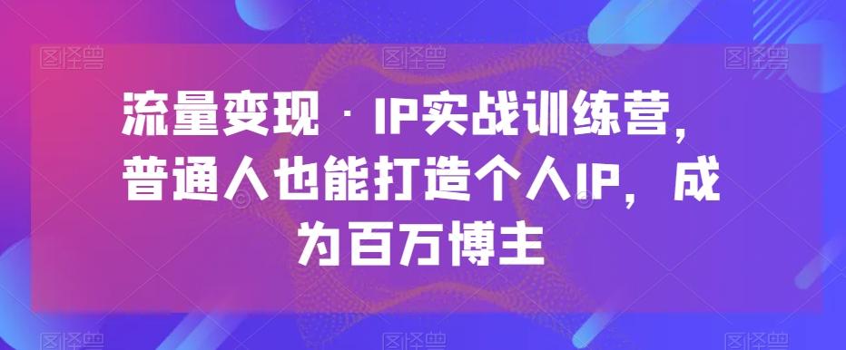 流量变现·IP实战训练营，普通人也能打造个人IP，成为百万博主-网创源码