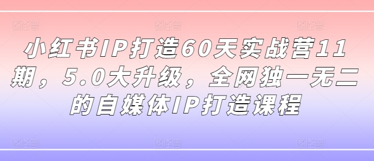 小红书IP打造60天实战营11期，5.0大升级，全网独一无二的自媒体IP打造课程-网创源码