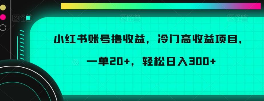 小红书账号撸收益，冷门高收益项目，一单20+，轻松日入300+【揭秘】-网创源码