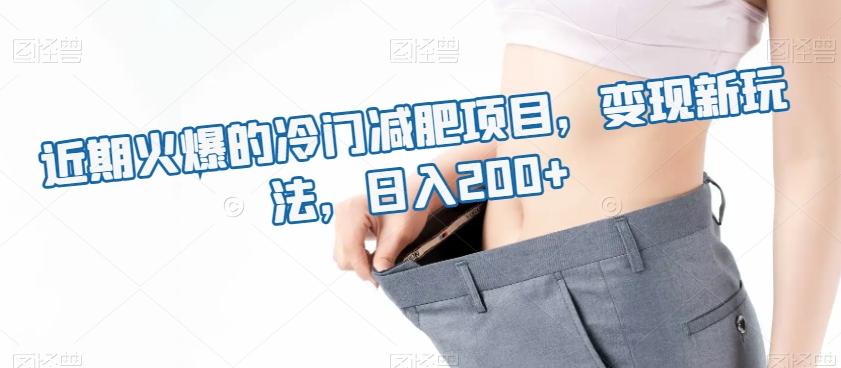 近期火爆的冷门减肥项目，变现新玩法，日入200+-网创源码