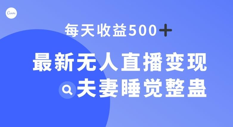 最新无人直播变现,夫妻睡觉整蛊,每天躺赚500+【揭秘】-网创源码
