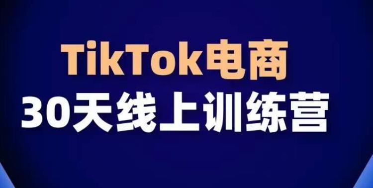 TikTok电商带货30天线上课,不可错过的全球流量洼地!-网创源码