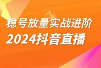 稳号放量实战进阶—2024抖音直播，直播间精细化运营的几大步骤-网创源码