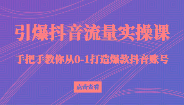 引爆抖音流量实操课，手把手教你从0-1打造爆款抖音账号(27节课)-网创源码
