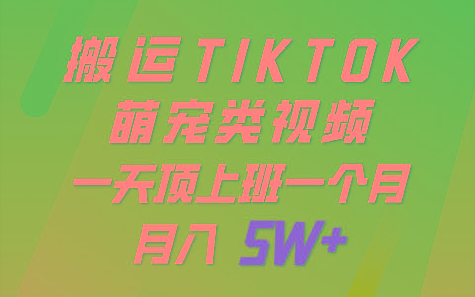 一键搬运TIKTOK萌宠类视频，一部手机即可操作，所有平台均可发布 轻松月入5W+-网创源码