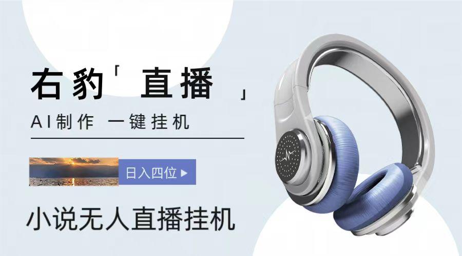 右豹小说无人直播挂机吸金项目,简单易行收益稳定, 月入1000+-网创源码