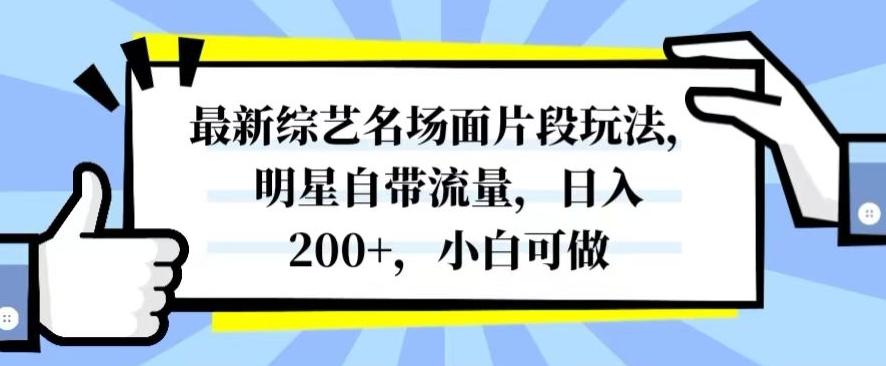 最新综艺名场面片段玩法,明星自带流量,日入200+,小白可做【揭秘】-网创源码