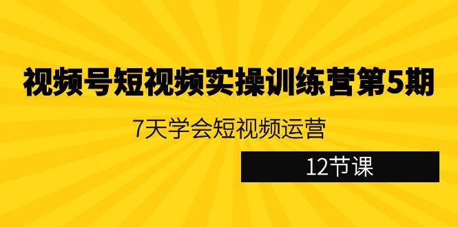 视频号短视频实操训练营第5期：7天学会短视频运营(12节课)-网创源码