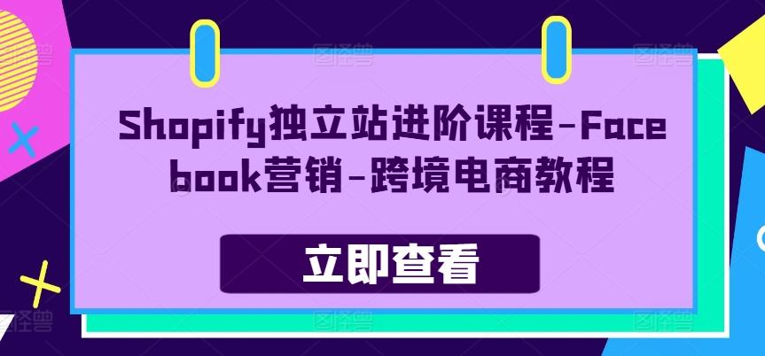 Shopify独立站进阶课程-Facebook营销-跨境电商教程-网创源码