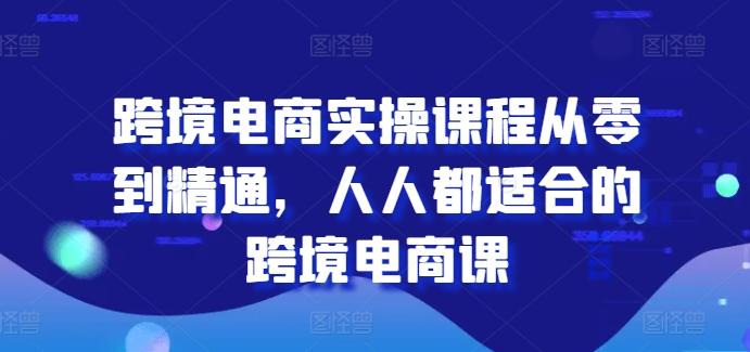 跨境电商实操课程从零到精通,人人都适合的跨境电商课-网创源码