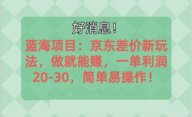 越早知道越能赚到钱的蓝海项目:京东大平台操作,一单利润20-30,简单...-网创源码