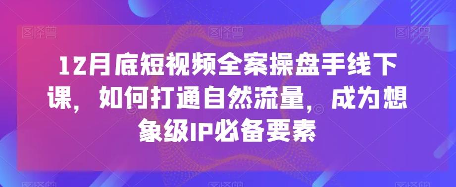 12月底短视频全案操盘手线下课，如何打通自然流量，成为想象级IP必备要素-网创源码