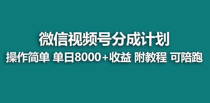 【蓝海项目】视频号分成计划最新玩法，单天收益8000+，附玩法教程，24年…-网创源码