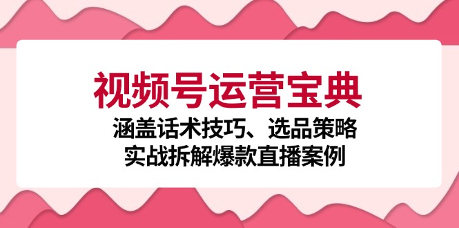 视频号运营宝典：涵盖话术技巧、选品策略、实战拆解爆款直播案例-网创源码