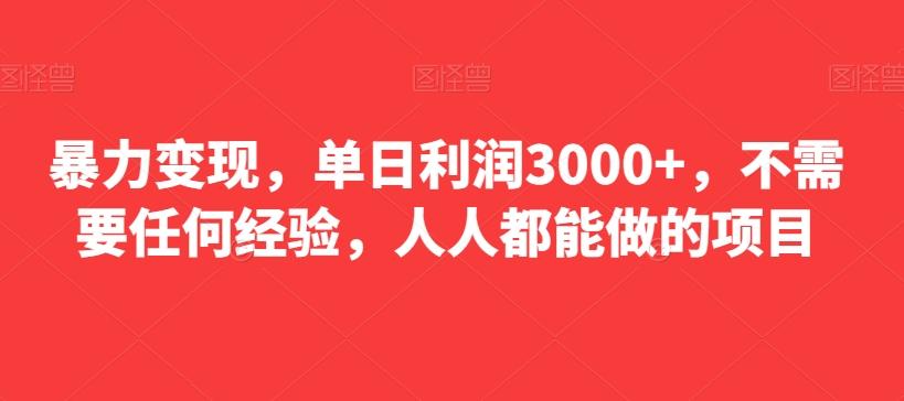 暴力变现，单日利润3000+，不需要任何经验，人人都能做的项目-网创源码