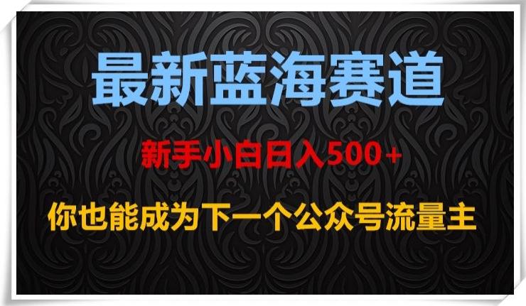 最新蓝海赛道，新手小白日入500+，你也能成为下一个公众号流量主【揭秘】-网创源码