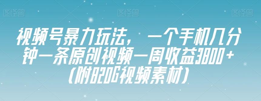 视频号暴力玩法，一个手机几分钟一条原创视频一周收益3800+（附820G视频素材）-网创源码