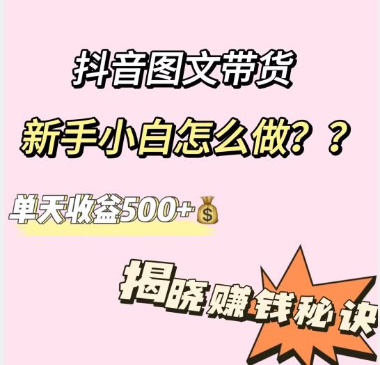 抖音图文带货，新手小白怎么做？单天收益500+【揭秘赚钱秘诀】-网创源码
