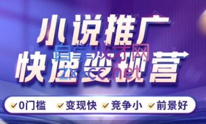 洲洲老师·小说推广快速变现营-网创源码