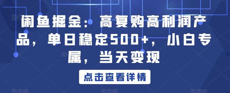 闲鱼掘金：高复购高利润产品，单日稳定500+，小白专属，当天变现-网创源码