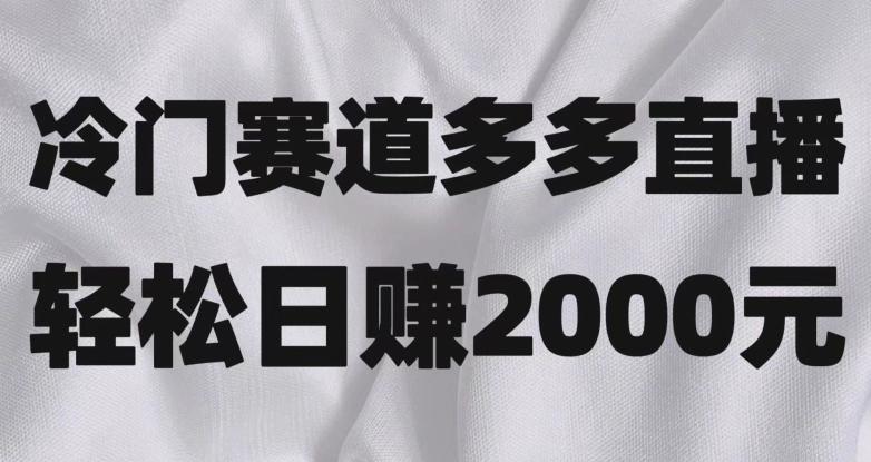 冷门赛道拼多多直播，简单念稿子，日收益2000＋【揭秘】-网创源码