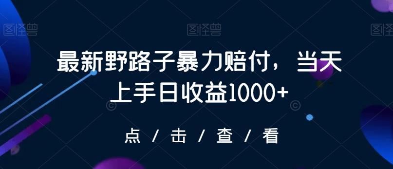 最新野路子暴力赔付，当天上手日收益1000+【仅揭秘】-网创源码