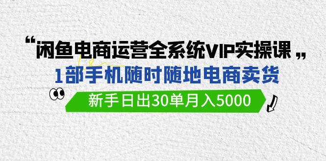 (9547期)闲鱼电商运营全系统VIP实战课，1部手机随时随地卖货，新手日出30单月入5000-网创源码