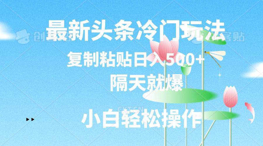 最新头条冷门玩法，隔天就爆，复制粘贴日入500+-网创源码