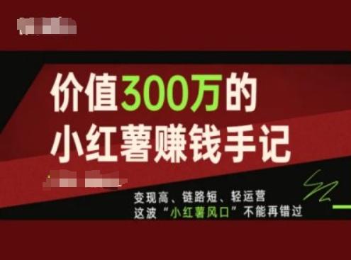 价值300万的小红书赚钱手记，变现高、链路短、轻运营，这波“小红薯风口”不能再错过-网创源码