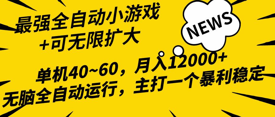 (10046期)2024最新全网独家小游戏全自动，单机40~60,稳定躺赚，小白都能月入过万-网创源码
