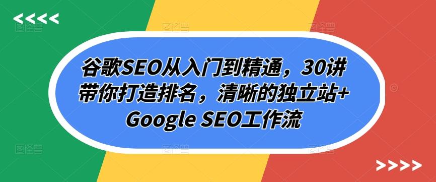 谷歌SEO从入门到精通，30讲带你打造排名，清晰的独立站+Google SEO工作流-网创源码