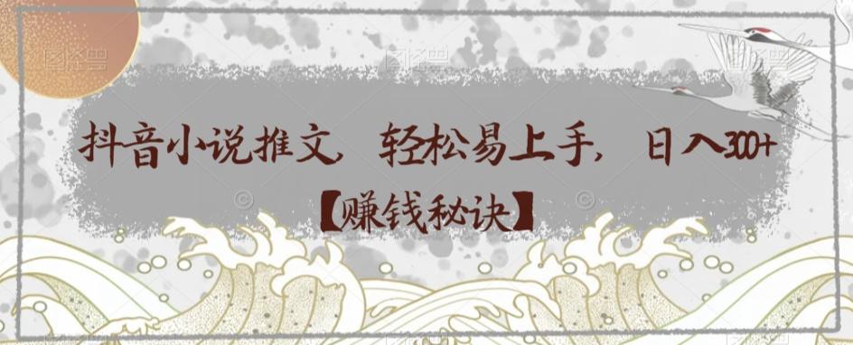 抖音小说推文，轻松易上手，日入300+【赚钱秘诀】-网创源码