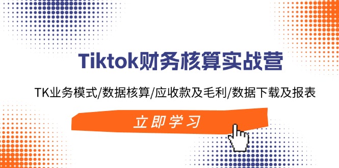 Tiktok财务核算实战营：TK业务模式/数据核算/应收款及毛利/数据下载及报表-网创源码