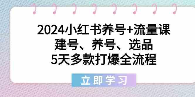 2024小红书养号+流量课：建号、养号、选品，5天多款打爆全流程-网创源码
