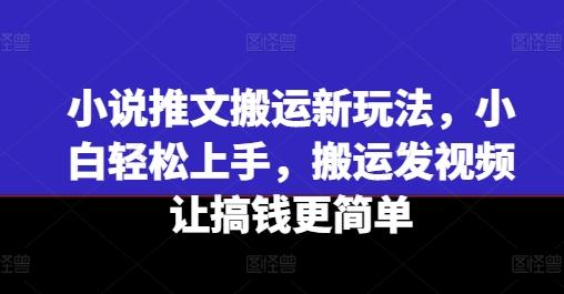 小说推文搬运新玩法，小白轻松上手，搬运发视频让搞钱更简单-网创源码