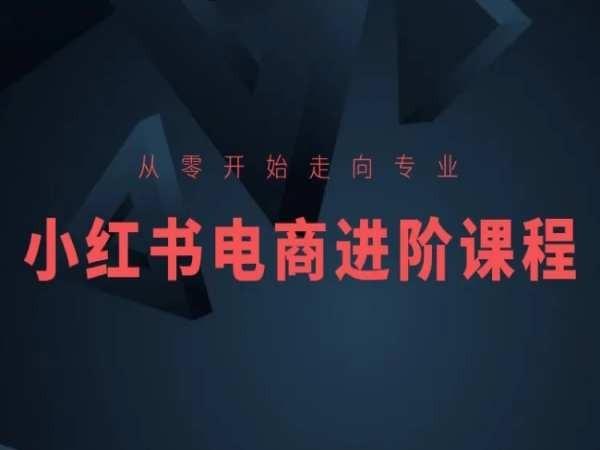 从零开始走向专业,小红书电商进阶课程-网创源码