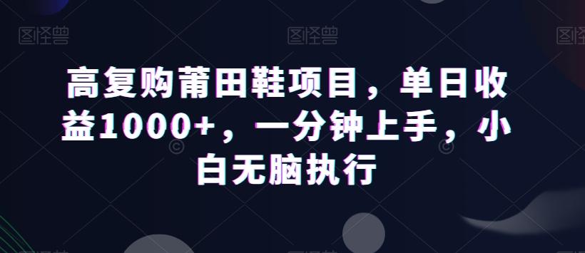 高复购莆田鞋项目，单日收益1000+，一分钟上手，小白无脑执行-网创源码