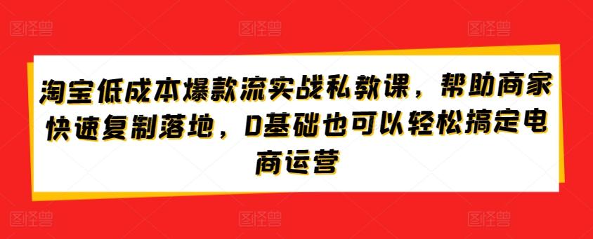 淘宝低成本爆款流实战私教课，帮助商家快速复制落地，0基础也可以轻松搞定电商运营-网创源码